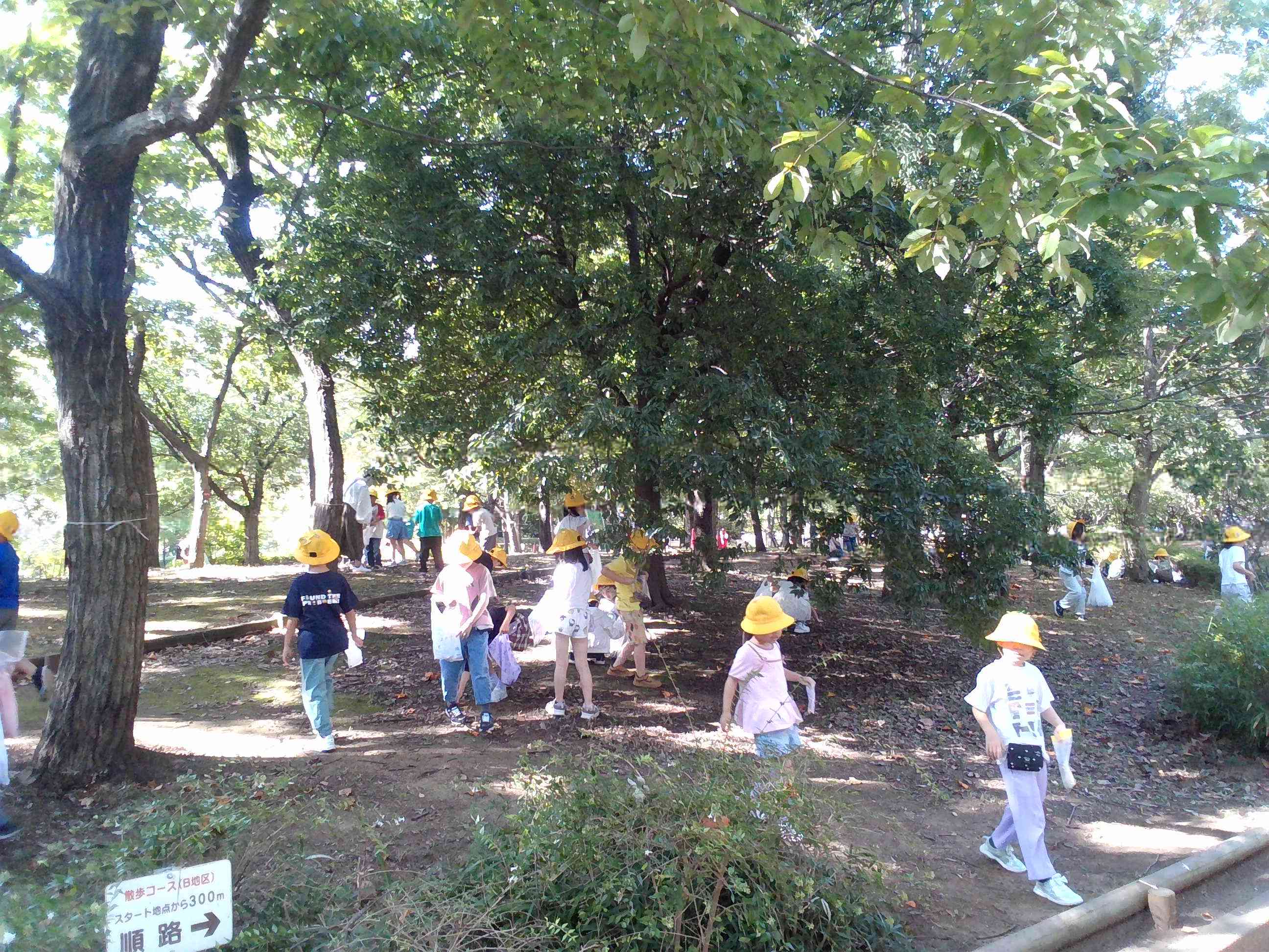IMG_20261016_094303